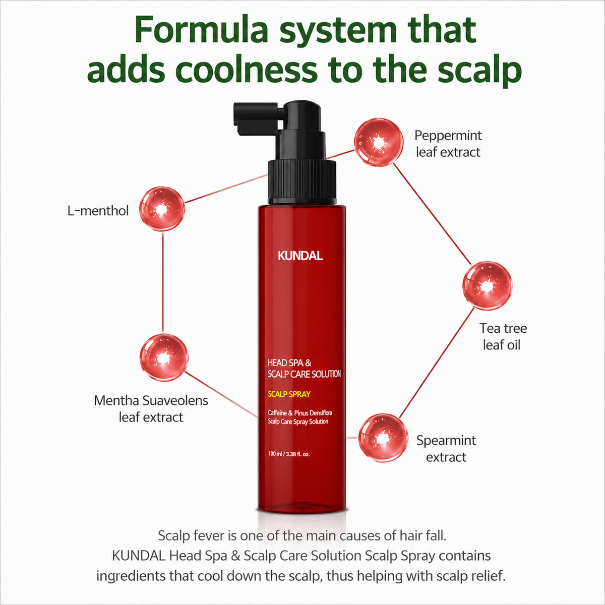 Caffeine Hair Loss Relief Scalp Care Tonic (100ml)